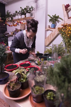 Plantas-Foto-Milagro-Castro.jpg Plantas-Foto-Milagro-Castro.jpg