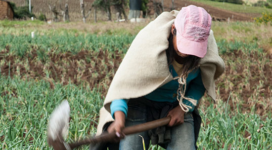 cientificos2.jpg Nicola.jpg