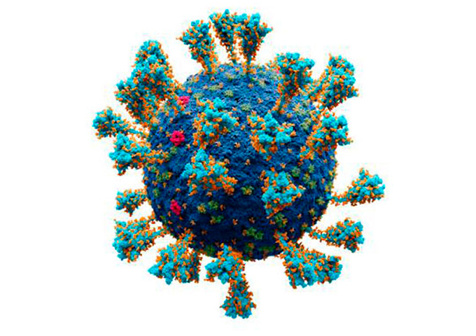 Coronavirus-SARS-Cov-2