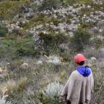 Grupo Mutis - Proyecto de apoyo al Plan de Desarrollo Sostenible de la Zona de Reserva Campesina de Sumapaz