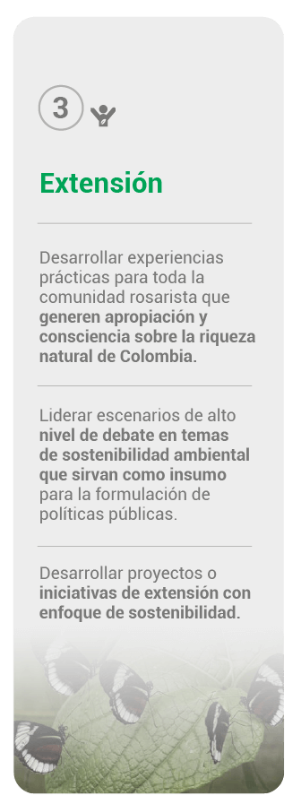 Pilar gestión extensión