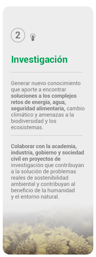 Pilar gestión investigación