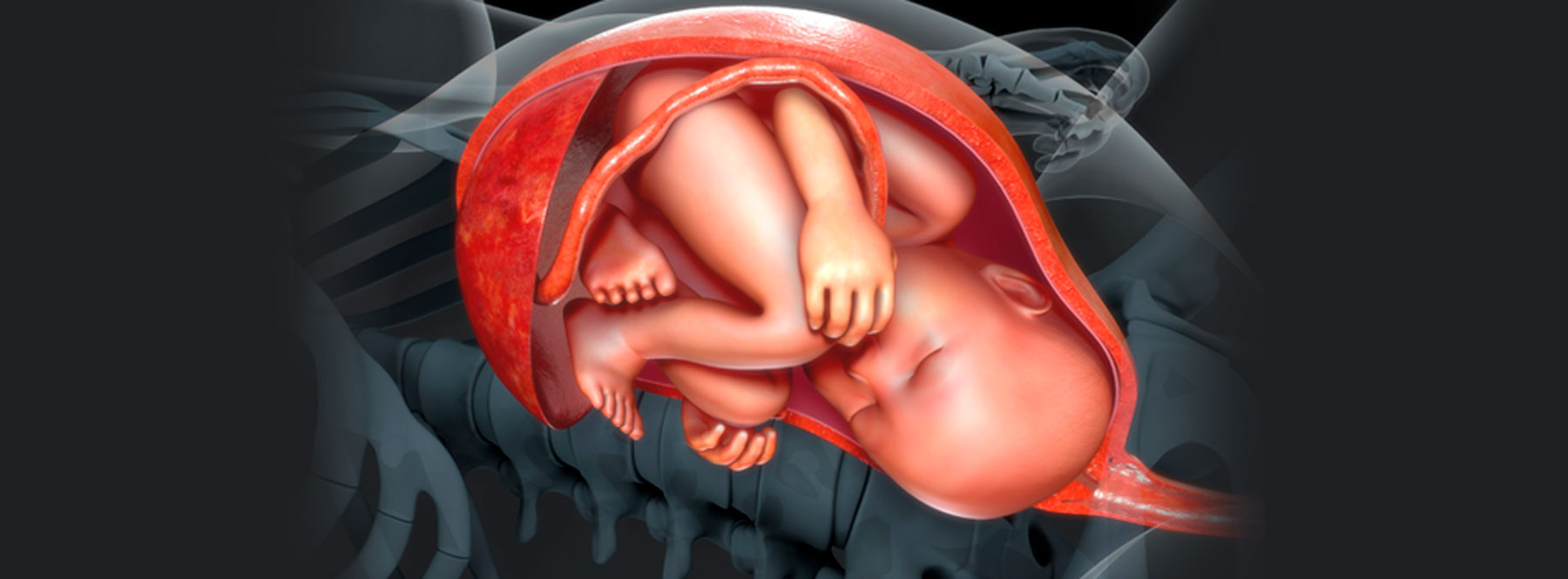 Especialización en Medicina Materno Fetal