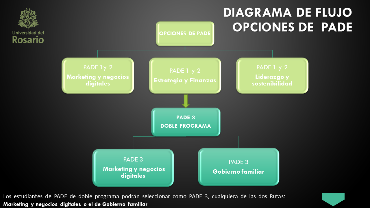 opcion-pade-3-grafica-7.png