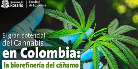  El gran potencial del Cannabis en Colombia: la biorefinería del cáñamo